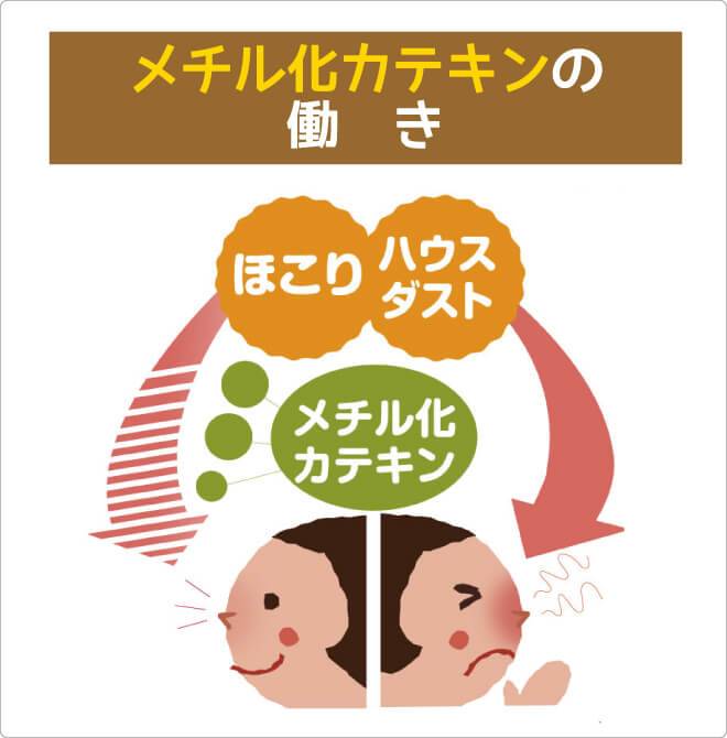 メチル化カテキンの働き