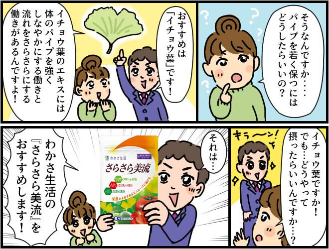 イチョウ葉エキスにはパイプ・血管を強くしなやかにし、血液をさらさらにしする働きがある。またむくみ改善にもイチョウ葉エキスはさらさら美流で手軽に摂ることができる。