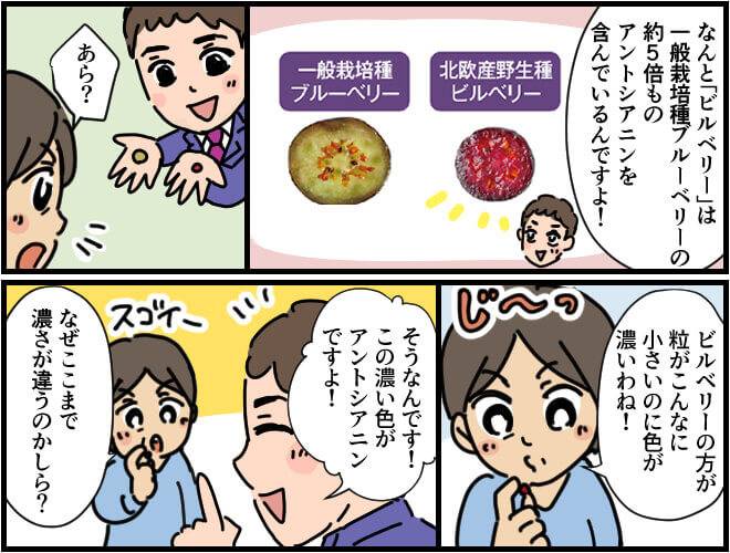 普通のブルーベリーと比較をすると、ビルベリーは約5倍のアントシアニンを含んでいて、青紫色がとても濃いことに女性驚く