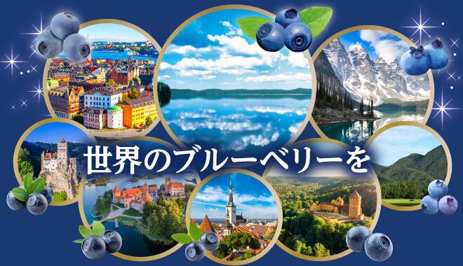 スーパーフード・ブルーベリーの中にはビタミンE、ビタミンA、アントシアニン、ミネラル、食物繊維といった栄養素が含まれている。目の疲れや夜盲症にお悩みの方もぜひ