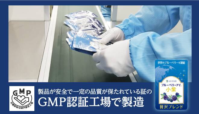 品質の良いブルーベリーが木になっている画像