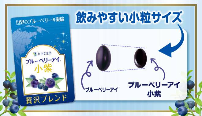品質の良いブルーベリーが木になっている画像
