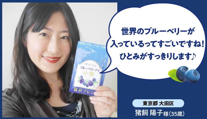 品質の良いブルーベリーが木になっている画像