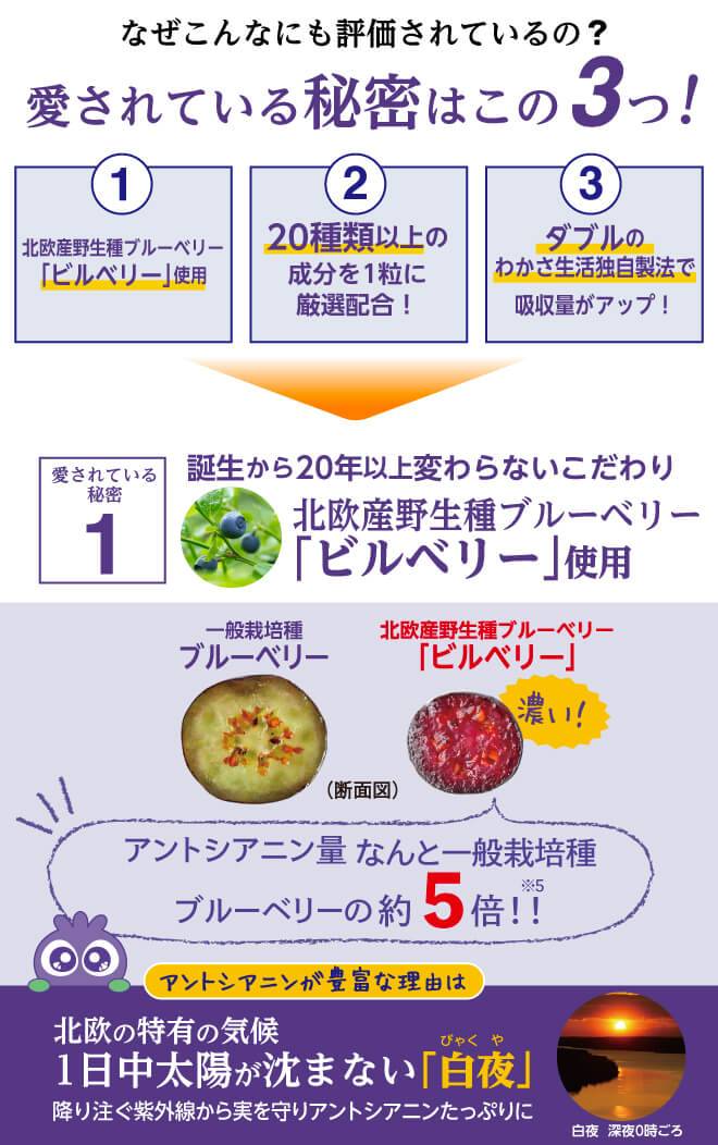 ブルーベリーアイが評価されている実感の秘密は3つ!実感の秘密1つ目は、誕生から20年以上変わらないこだわりである北欧産野生種ビルベリーを使用アントシアニン量は、一般栽培種ブルーベリーの約5倍。
アントシアニンが豊富な理由は、北欧特有の気候である1日中太陽が沈まない「白夜(びゃくや)」によって降り注ぐ紫外線から実を守るためにアントシアニンを蓄えます。