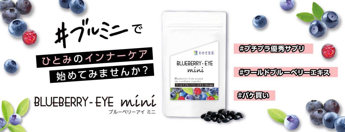ブルーベリーアイ ミニ わかさ生活ランド わかさ生活