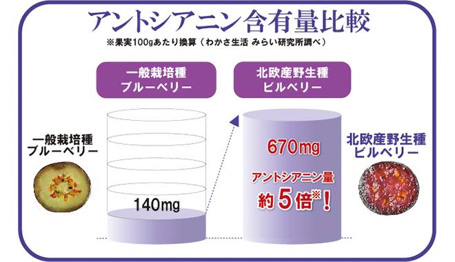 こだわりのビルベリー