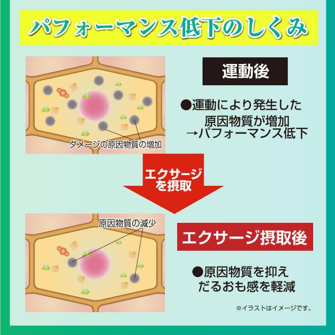ボディリカバリーはエクスタージ250mgとクエン酸配合 人工甘味料不使用で12キロカロリー