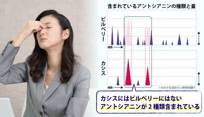目もとが辛そうな女性の画像。カシス特有のアントシアニンがひとみのコリに働きかける。