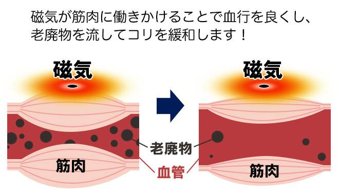 磁気が筋肉に働きかけることで血行を良くし、老廃物を流してコリを緩和します。