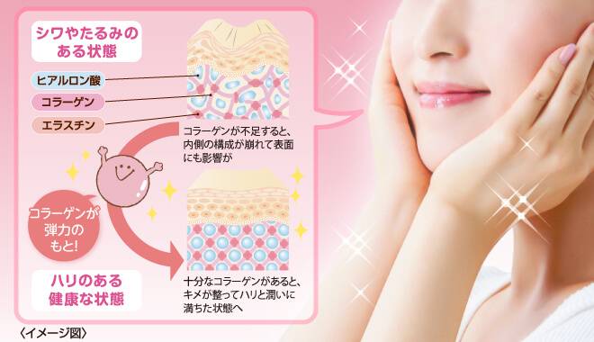 コラーゲンが肌の弾力の元。ハリのある健康な状態へ
