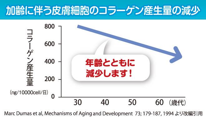 加齢に伴い皮膚細胞のコラーゲン生産量は減少していく