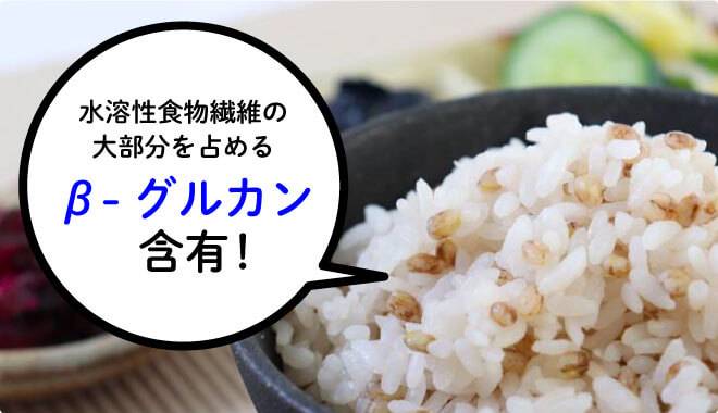 讃岐もち麦ダイシモチは水溶性食物繊維の大部分を占めるβ-グルガン含有
