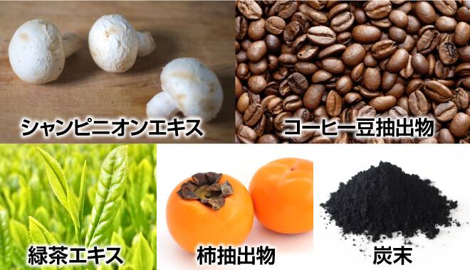 シャンピニオンエキス、コーヒー豆抽出物、緑茶エキス、柿抽出物、炭末