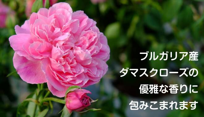 ブルガリア産ダマスクローズの優雅な香りに包みこまれます