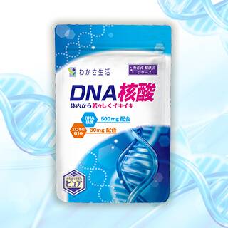 DNA核酸のパッケージ