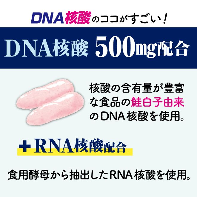 RNA核酸配合