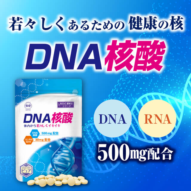 若々しくあるための健康のための核。DNA核酸。DNAとRNAを配合。