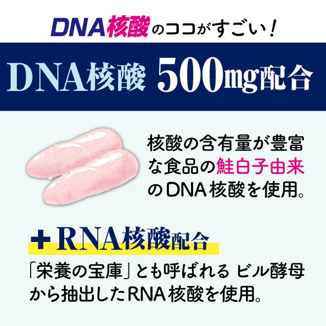 DNA核酸のここがすごい。DNA核酸500mg配合。プラスRNAも配合。