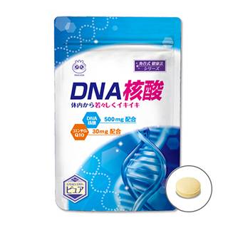 DNA核酸のパッケージ