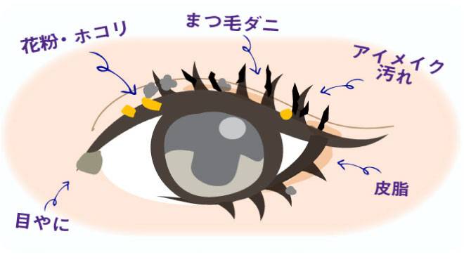 目の周りに花粉やまつ毛ダニ、アイメイクの汚れ、皮脂、目やになどがついている様子
