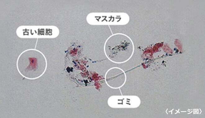 目の中に入ってしまっているマスカラやごみ、古い細胞の様子