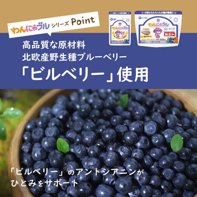 高品質な原材料。北欧産野生種ビルベリー使用