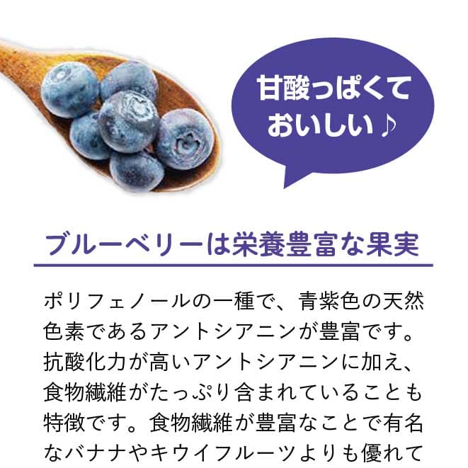 甘酸っぱくておいしいブルーベリーは栄養がたっぷり