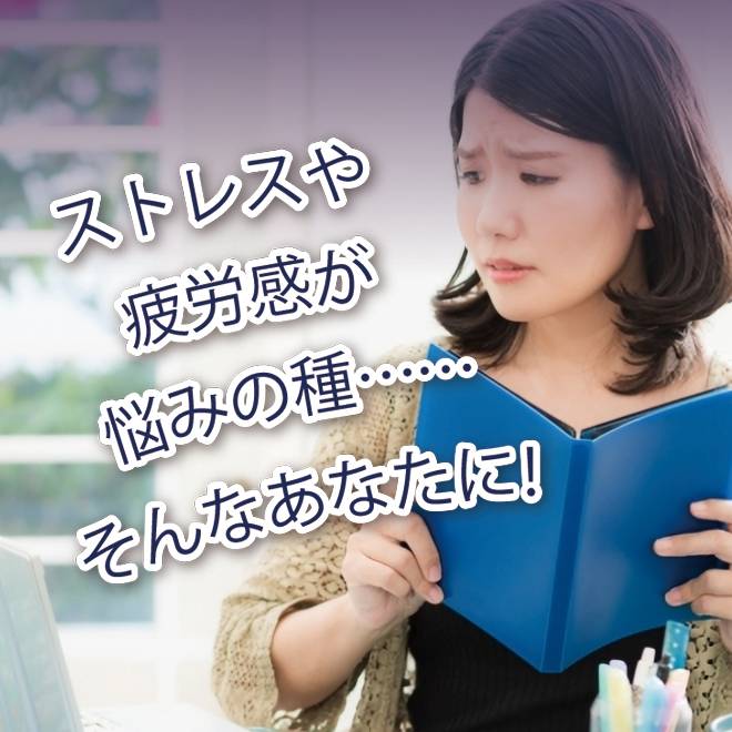 ストレスや疲労感が悩みの種・・・そんなあなたに!