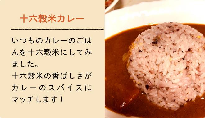 十六穀米カレー
