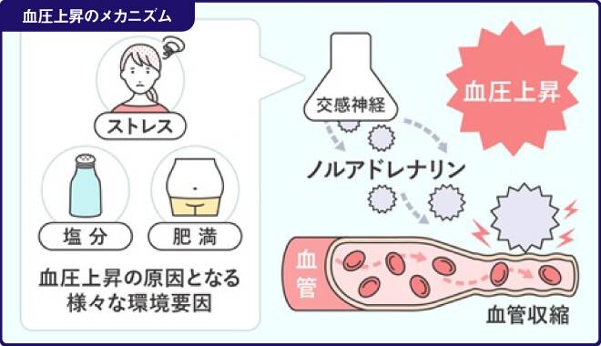 血圧上昇の原因となる環境要因と血圧上昇のメカニズムの図