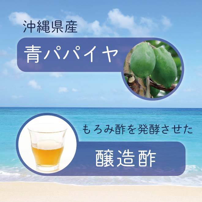 沖縄県産青パパイヤともろみ酢を発酵させて造醸酢