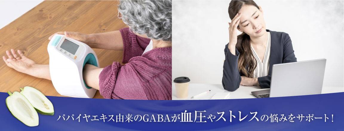 パパイヤエキス由来のGABAが血圧やストレスの悩みをサポート!