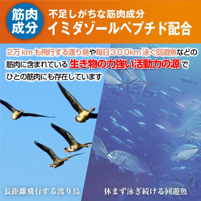 お喜びの声、今ではヒールのあるサンダルや靴が履けるようになってきたんですよ!