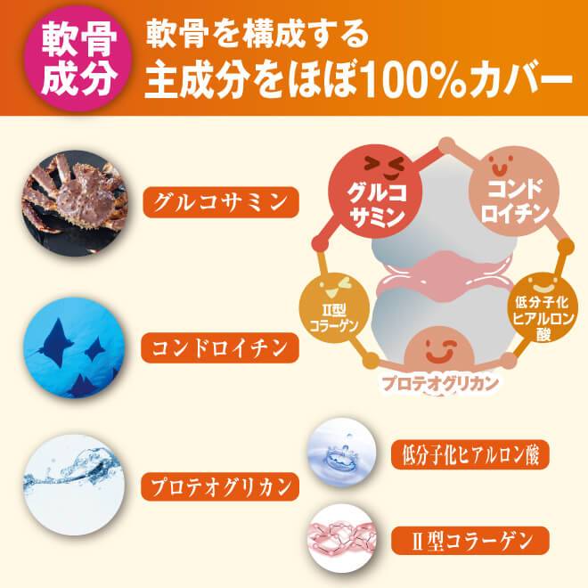 軟骨成分として軟骨を構成する主成分ほぼ100%カバー、グルコサミン、コンドロイチン、プロテオグリオン、低分子化ヒアルロン酸、Ⅱ型コラーゲン