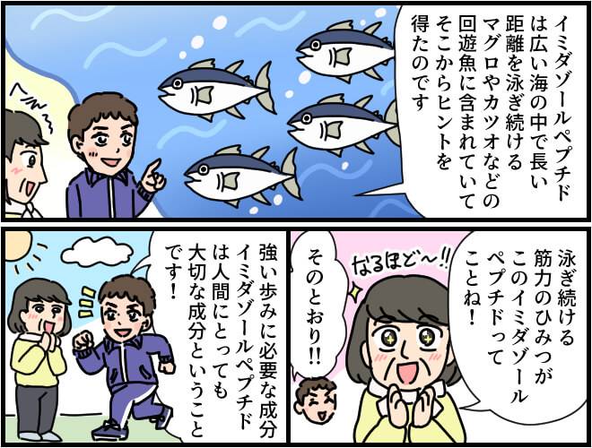 マグロやカツオなど長い距離を泳ぎ続けることができる回遊魚の筋力の秘密はイミダソールペプチド。人間もこの成分を摂ることで筋肉の力強さを保つことができる