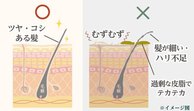 頭皮のケアができている髪と頭皮のケアができてない髪の画像