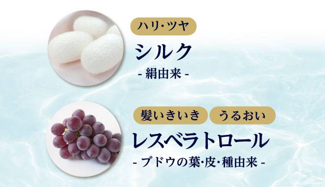 シルクとレスベラトロールの画像