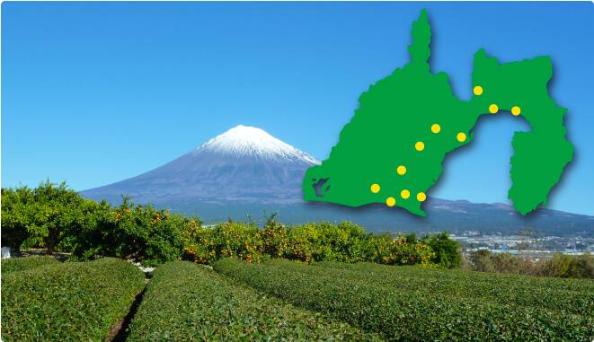 揉一ひとえ粉末茶に使用されている静岡県の茶畑の様子と静岡県の地図の画像