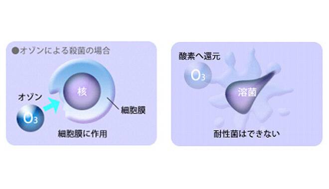 オゾンによる除菌の仕組み