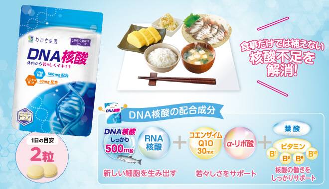 DNA核酸で食事では補えない核酸不足を解消