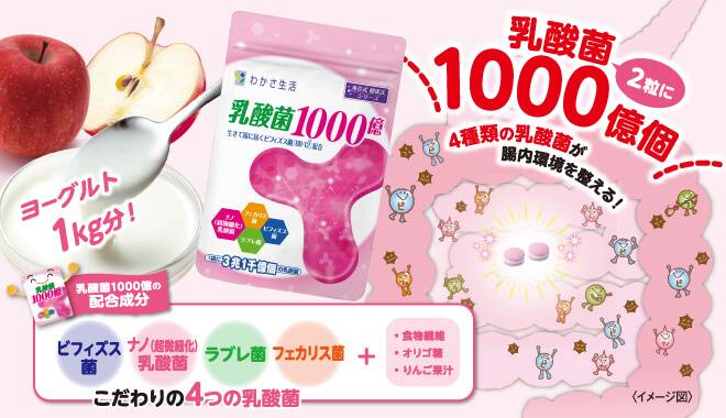乳酸菌1000億は2粒に4種類の乳酸菌が1000億個入っています