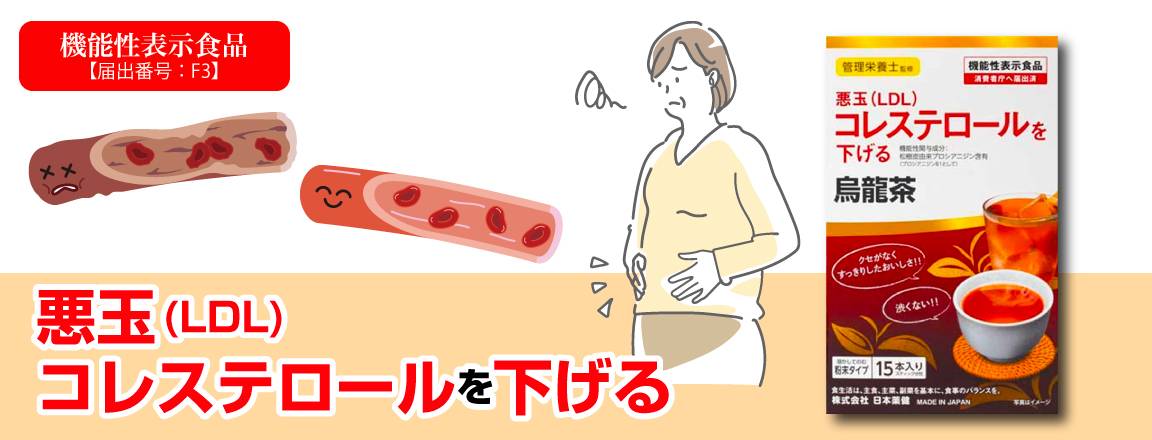アスクル 機能性表示食品 サントリー 伊右衛門プラス コレステロール対策 500ml 1セット 48本 通販 Askul 公式