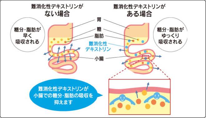難消化性デキストリンが糖分・脂肪の吸収を抑える