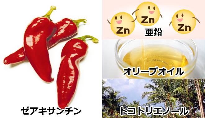 ルテインと相性の良い、有害な光の刺激からひとみを守る唐辛子に含まれる成分「ゼアキサンチン」と、ルテインを吸収しやすくする「亜鉛」「オリーブオイル」、強い抗酸化力で瞳の老化を防ぐ「トコトリエノール」