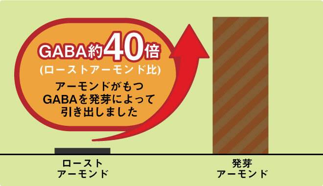 発芽アーモンドはローストアーモンドの約40倍のGABAをもちます