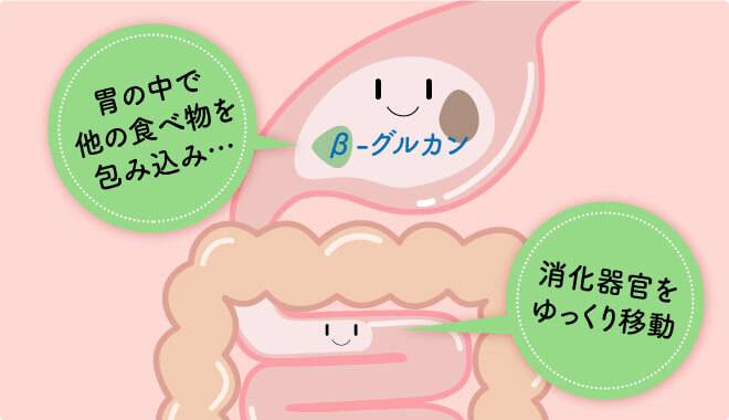 大麦β-グルカンが、胃の中にある食べ物を包み込んで消化器官をゆっくり移動し、糖質の吸収をゆるやかにする