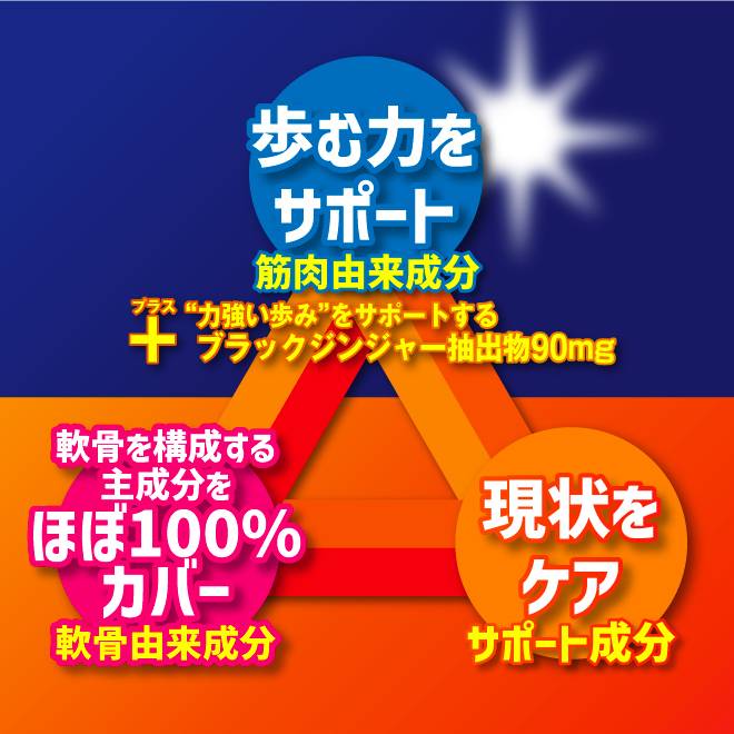 ムーブメンテは筋肉由来成分、軟骨由来成分、サポート成分の全12種類の有用成分を配合しました。