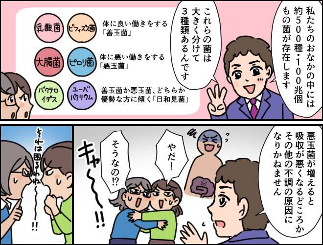 万げ、おなかの中で悪玉菌が増えると吸収が悪くなり、不調の原因にもなることを説明