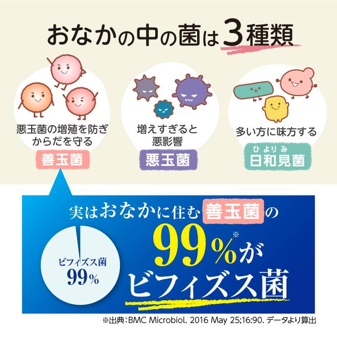 腸内までしっかり届くよう食物繊維とオリゴ糖配合のりんごポリフェノールで乳酸菌を上下で挟んだ構造の、噛んでも美味しいりんご味のタブレットタイプのサプリメント