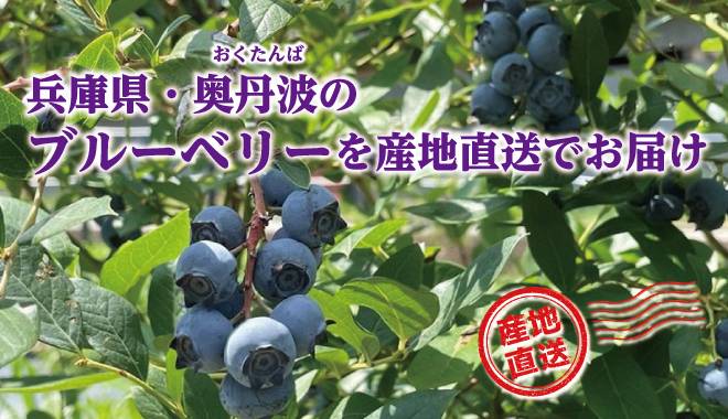 ビルベリードリンクのパッケージ写真と、採れたてビルベリーの写真